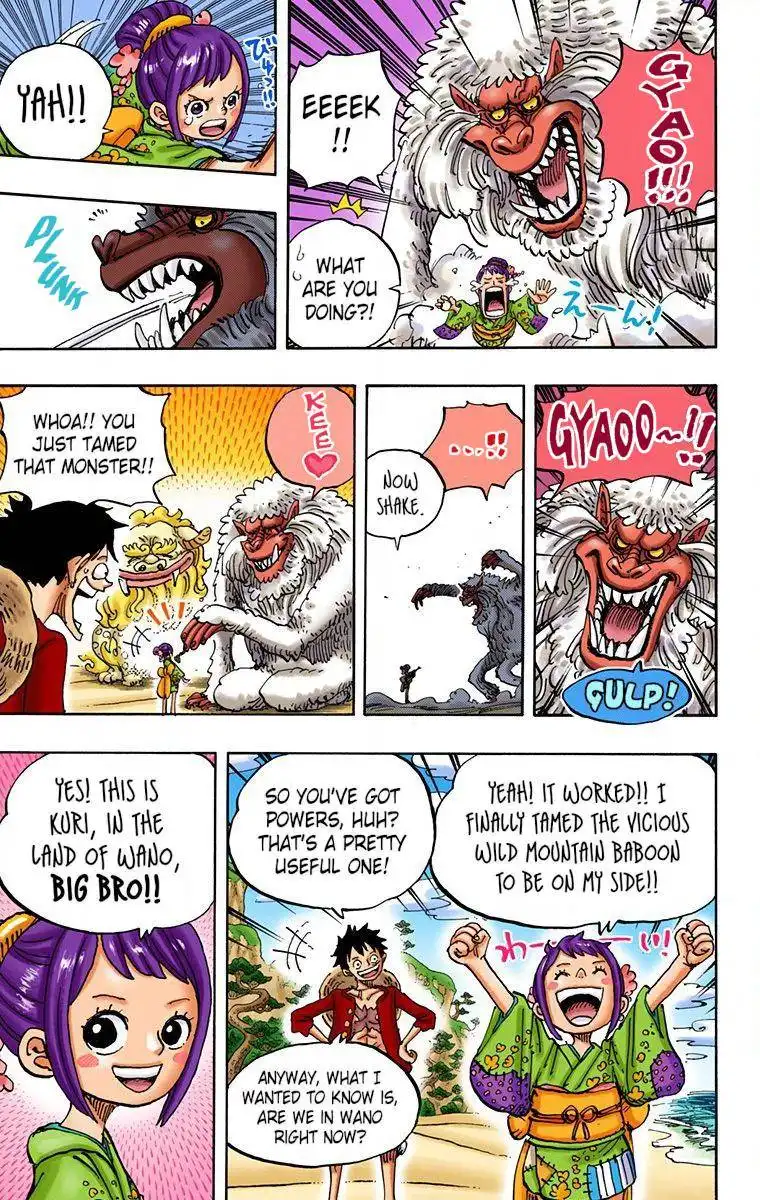 One Piece - Digital Colored Comics Chapter 911 17